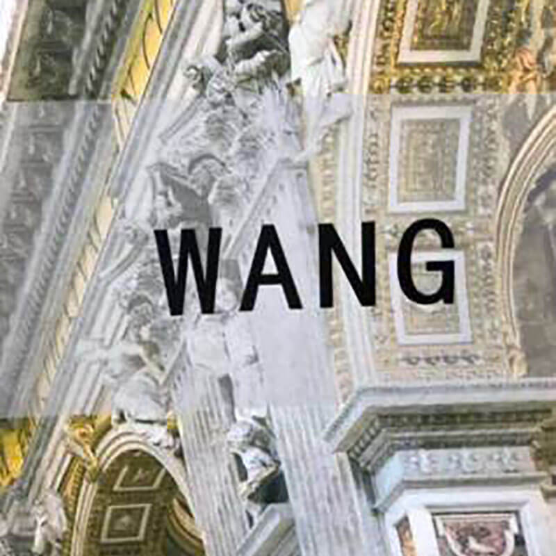 آلبوم کاغذ دیواری وانگ (WANG)