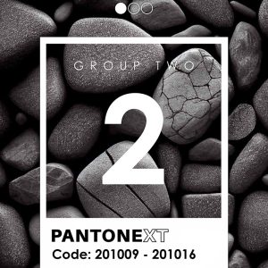 کاغذ دیواری پنتونکست Pantonext black