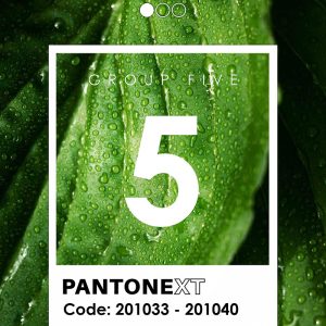 کاغذ دیواری پنتونکست رنگ سبز Pantonext green