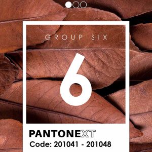 کاغذ دیواری پنتونکست رنگ قهوه ای Pantonext brown