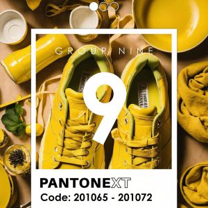 کاغذ دیواری پنتونکست رنگ زرد Pantonext yellow