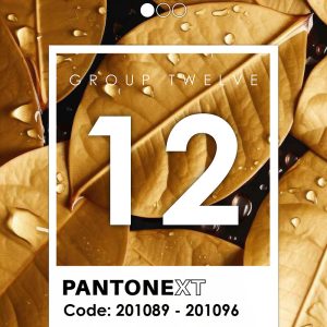 کاغذ دیواری پنتونکست رنگ طلایی Pantonext golden