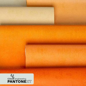 کاغذ دیواری پنتونکست Pantonext orang
